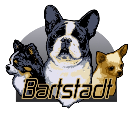 bardstadt