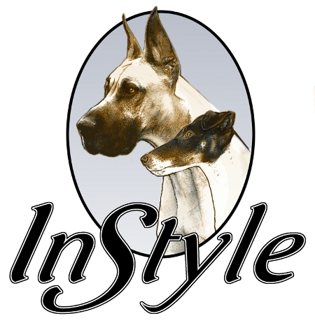 instyle
