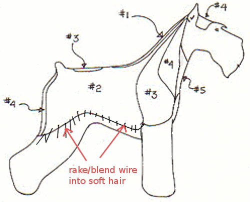 stripping pattern