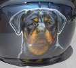 rottie