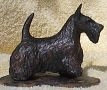 scottie