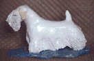 sealyham